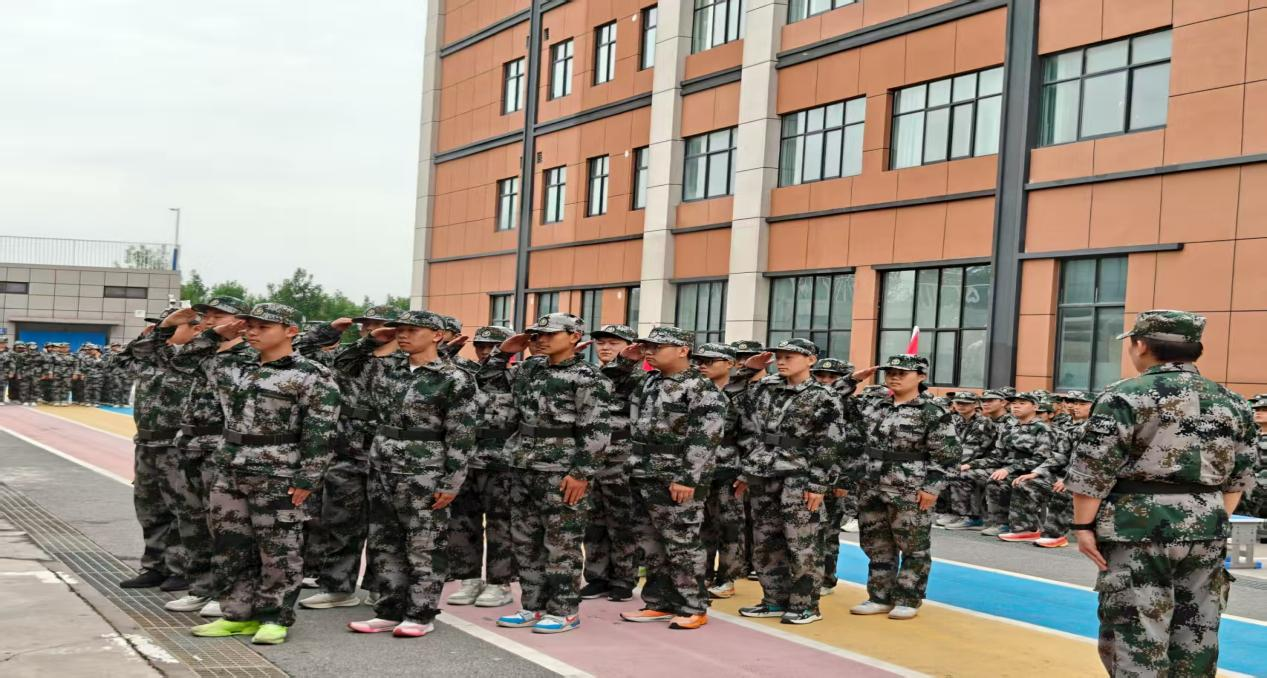 29108829.png 图片3.png